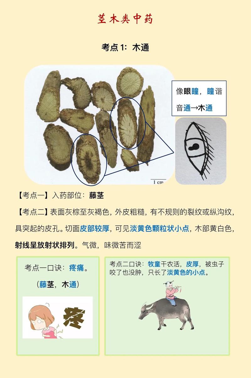 悉源印度代购希爱力是真的吗？避坑指南与正品鉴别全攻略